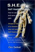 S.H.E.: Self Healing Energy