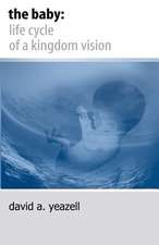 The Baby: Life Cycle of a Kingdom Vision