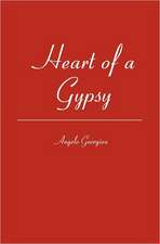 Heart of a Gypsy: The Transformation of Public Sphere Between Media and Political System