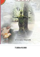 Osun in Colours: Pictorial History of the River Goddess, Osun