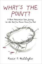 What's the Point?: A Short Attention Span Journey to the God You Never Knew You Had.