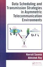 Data Scheduling and Transmission Strategies in Asymmetric Telecommunication Environments