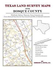 Texas Land Survey Maps for Bosque County