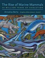 The Rise of Marine Mammals – 50 Million Years of Evolution