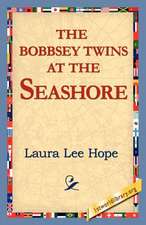 The Bobbsey Twins at the Seashore