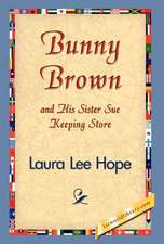 Bunny Brown and His Sister Sue Keeping Store