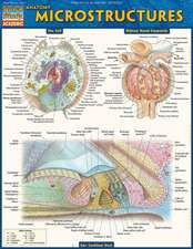 Anatomy: Microstructures