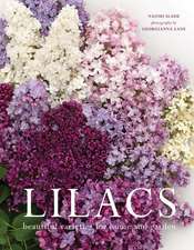 Lilacs