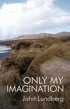 Only My Imagination