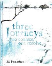 Three Journeys