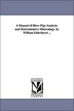 A Manual of Blow-Pipe Analysis. and Determinative Mineralogy. by William Elderhorst ...