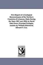 First Report of a Geological Reconnoissance of the Northern Countries of Arkansas, Made During the Years 1857 and 1858, by David Dale Owen, Principal