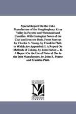 Special Report On the Coke Manufacture of the Youghiogheny River Valley in Fayette and Westmoreland Counties. With Geological Notes of the Coal and Iron ore Beds. From Surveys by Charles A. Young. by Franklin Platt. to Which Are Appended: I. A Report On M