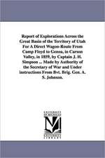 Report of Explorations Across the Great Basin of the Territory of Utah for a Direct Wagon-Route from Camp Floyd to Genoa, in Carson Valley, in 1859, b