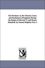 The Puritans: or, the Church, Court, and Parliament of England, During the Reigns of Edward Vi. and Queen Elizabeth. by Samuel Hopkins Àvol. 3