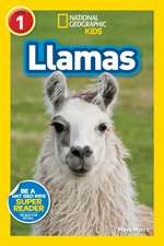 Llamas (National Geographic Kids Readers, Level 1)