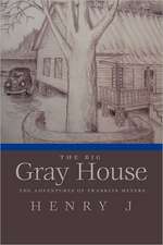 The Big Gray House