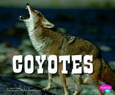 Coyotes