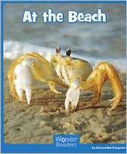 At the Beach