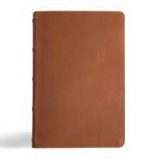 CSB Men's Daily Bible, Brown Genuine Leather