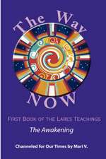 The Way Now: Book One of the Lares Teachings