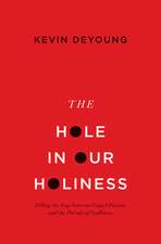 The Hole in Our Holiness – Filling the Gap between Gospel Passion and the Pursuit of Godliness (Paperback Edition)