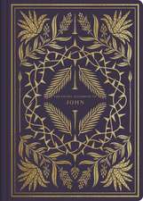 ESV Illuminated Scripture Journal – John (Paperback)