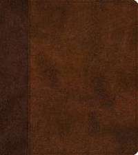 ESV Journaling Study Bible (TruTone, Brown/Chestnut, Timeless Design)