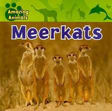 Meerkats