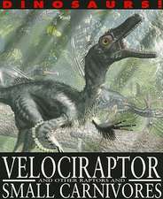 Velociraptor and Other Raptors and Small Carnivores