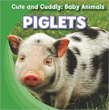 Piglets