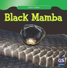 Black Mamba