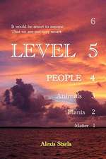 Level 5