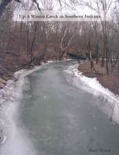 Up A Winter Creek in Southern Indiana