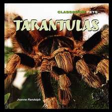 Tarantulas