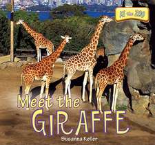 Meet the Giraffe