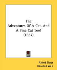 The Adventures Of A Cat, And A Fine Cat Too! (1857)