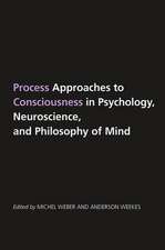 Process Approaches to Consciousness in Psychology, Neuroscience, and Philosophy of Mind