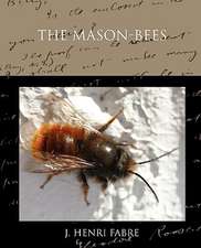 The Mason-Bees: A Story for Lovers