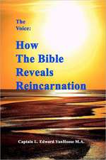 The Voice: How the Bible Reveals Reincarnation