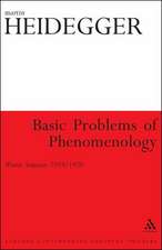 Basic Problems of Phenomenology