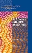 B-C-N Nanotubes and Related Nanostructures