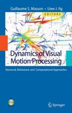 Dynamics of Visual Motion Processing