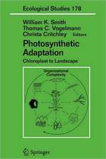 Photosynthetic Adaptation: Chloroplast to Landscape