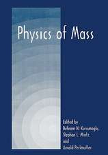 Physics of Mass