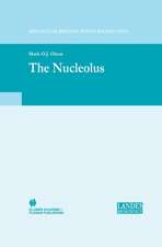 The Nucleolus