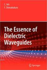 The Essence of Dielectric Waveguides