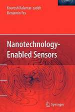 Nanotechnology-Enabled Sensors