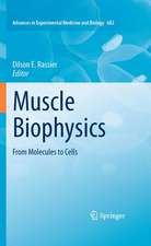 Muscle Biophysics: From Molecules to Cells
