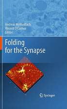 Folding for the Synapse